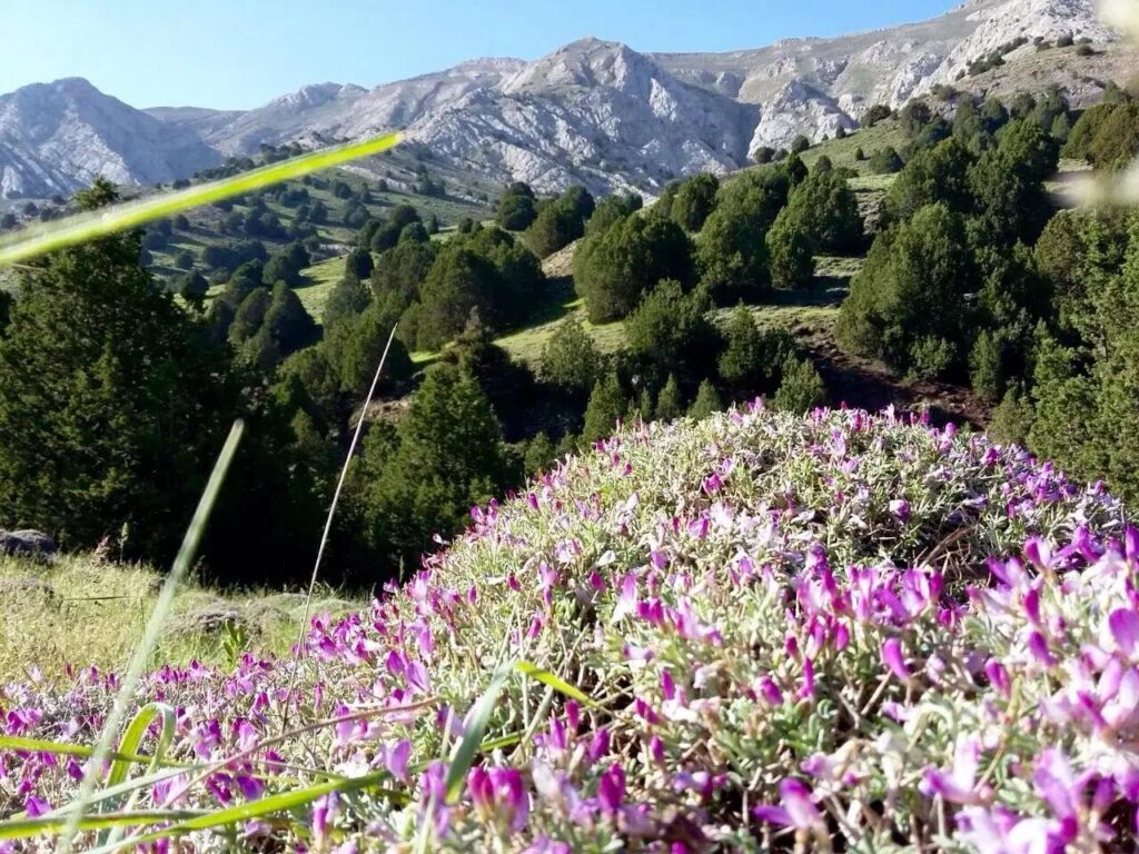 گردشگری خراسان شمالی