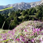 گردشگری خراسان شمالی